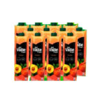 FRUGOS DEL VALLE LITROS