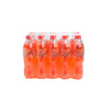 GASEOSA GUARANA 450 ML