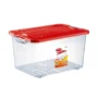 CAJAS ORGANIZADORAS