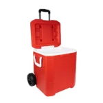 COOLER 31 QT BASA