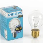 FOCO PHILIPS 100W