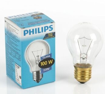 FOCO PHILIPS 100W