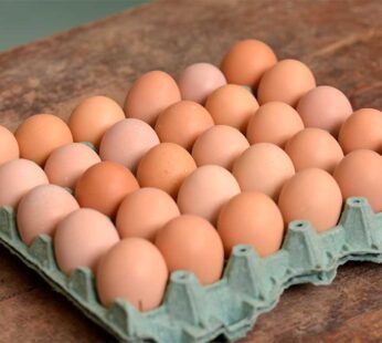 HUEVOS DE CORRAL X 1 KG