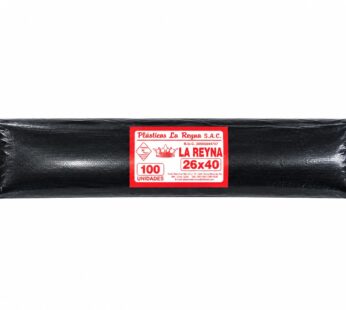 BOLSA NEGRA TESORO 26 X 40
